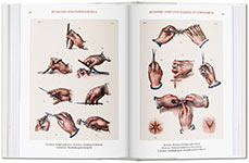 Bourgery. Atlas of Human Anatomy and Surgery 4