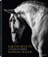 Equine Beauty - A Study of Horses (Small Format Edition)