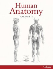 Human Anatomy for Artists