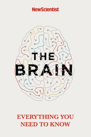 The Brain: Everything You Need to Know