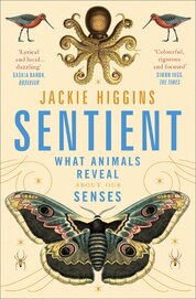 Sentient: What Animals Reveal About Human Senses
