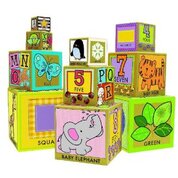 Early Learning 10 Stacking & Nesting Blocks