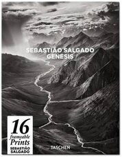 Salgado Poster Box
