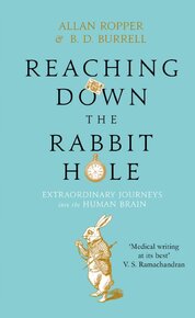 Reaching Down the Rabbit Hole: Extraordinary Journeys into the Human Brain