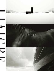 Liaigre: 12 Projects