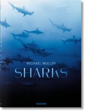 Michael Muller. Sharks. Face–to–Face with the Ocean’s Endangered Predator