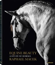 Equine Beauty – A Study of Horses (Small Format Edition)