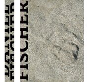 Monografia. Daniel Fischer