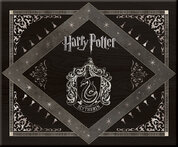 Harry Potter: Slytherin Deluxe Stationery Set