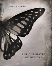 The Chemistry of Memory