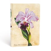 Zápisník Paperblanks Brazilian Orchid Mini linkovaný (Painted Botanicals)