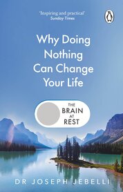 The Brain at Rest