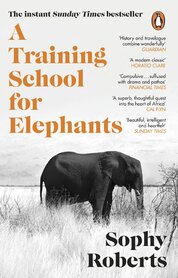 A Training School for Elephants