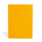 Zápisník Paper–Oh Puro Gold A6 nelinkovaný