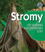 Stromy – Od semínka k rozlehlému lesu