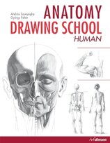 Anatomy Drawing School 1: Human Body