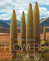 Flowers of the Earth
