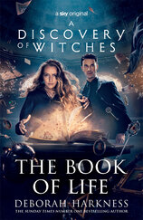 The Book of Life