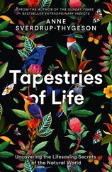 Tapestries of Life: Uncovering the Lifesaving Secrets of the Natural World