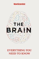 The Brain: Everything You Need to Know