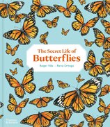 The Secret Life of Butterflies