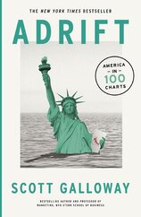 Adrift: America  in 100 Charts