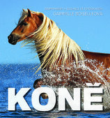 Koně