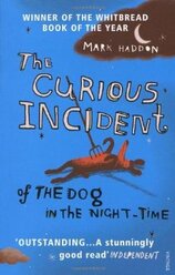 The Curious Incident of the Dog in the Night–time