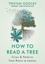 How to Read a Tree: Clues & Patterns from Roots to Leaves