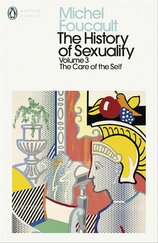 The History of Sexuality: The Care of the Self