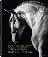 Equine Beauty – A Study of Horses (Small Format Edition)