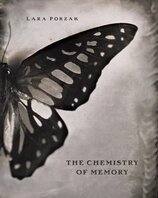 The Chemistry of Memory