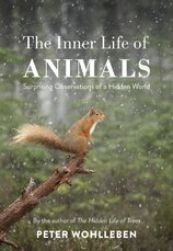 The Inner Life of Animals: Surprising Observations of a Hidden World
