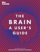 The Brain: A User's Guide