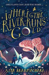 Where the River Runs Gold
