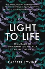 Light to Life: The miracle of photosynthesis and how it can save the planet