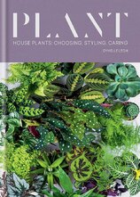 Plant. House plants: choosing, styling, caring