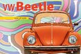 VW Beetle