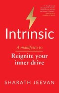 Intrinsic: A manifesto to reignite your inner drive