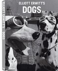 Elliott Erwitt's Dogs