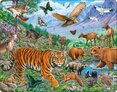 Puzzle Tigr amurský
