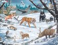 Puzzle Sibiřská divočina