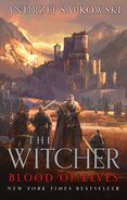 The Witcher: Blood of Elves
