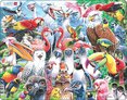 Puzzle Veselí ptáčci