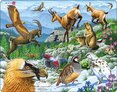 Puzzle Alpy – zvířata na horách