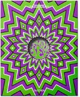 The Psychedelic Sex Book