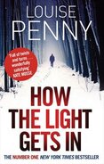 How the Light Gets in