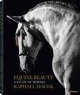 Equine Beauty – A Study of Horses (Small Format Edition)
