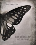 The Chemistry of Memory