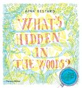 What's Hidden in the Woods?